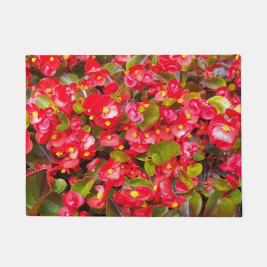 Red Wax Begonias Floral Deurmat (Voorkant)