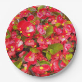 Red Wax Begonias Floral Papieren Bordje (Voorkant)