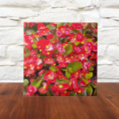 Red Wax Begonias Floral Tegeltje