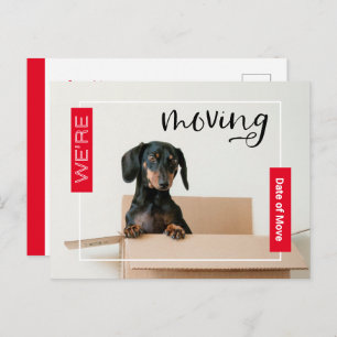 Red we verplaatsen Dachshund Dog in Box Briefkaart