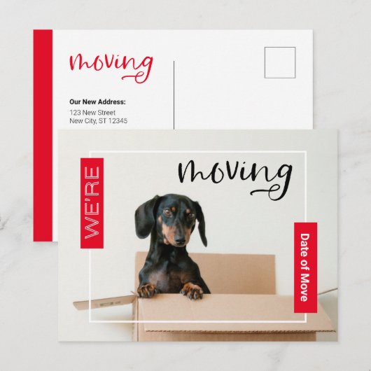 Red we verplaatsen Dachshund Dog in Box Briefkaart (Voorkant / Achterkant)
