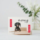 Red we verplaatsen Dachshund Dog in Box Briefkaart (Staand voorkant)