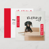 Red we verplaatsen Dachshund Dog in Box Kaart (Voorkant / Achterkant)