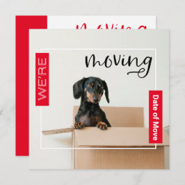 Red we verplaatsen Dachshund Dog in Box Kaart