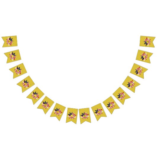 Red White Blue Star Vlaggetjes (Alle)