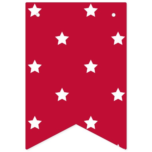 Red White Blue Stars 4 juli 2010 Vlaggetjes (Eerste vlag)