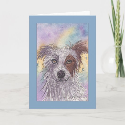 Red & White Border Collie, Dripping Wet, Blank Kaart (Voorkant)