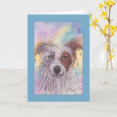 Red & White Border Collie, Dripping Wet, Blank Kaart (Gele Bloem)