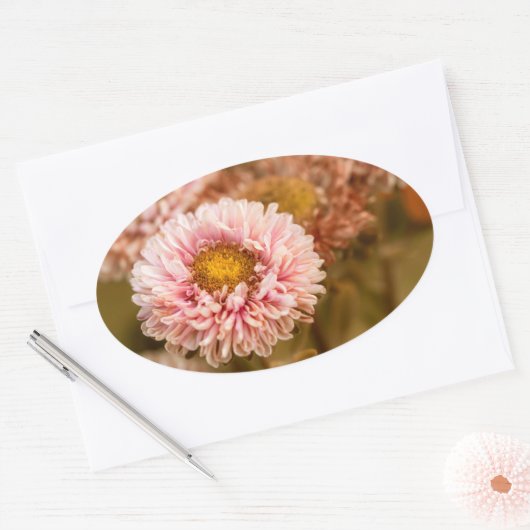 Red White China Aster Ovale Sticker (Envelop)