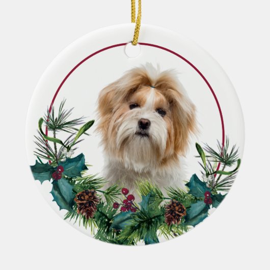 Red White Shih Tzu Dog Evergreen Wreath Keramisch Ornament (Voorkant)