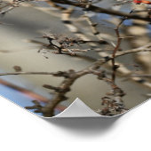 Red Wild Berries Poster (Hoek)