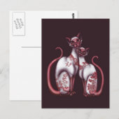 Red Willow Siamese katten Briefkaart (Voorkant / Achterkant)