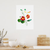 Red Willowweed II Afdruk door Mary Vaux Walcott Poster (Keuken)