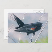 Red Wing Blackbird Briefkaart (Voorkant / Achterkant)