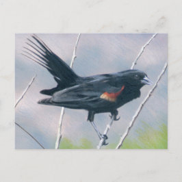 Red Wing Blackbird Briefkaart