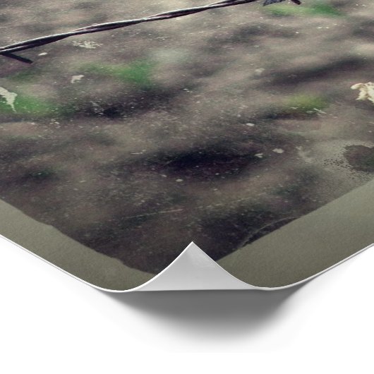 Red Wing Blackbird Faux Poster (Hoek)