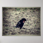 Red Wing Blackbird Faux Poster (Voorkant)