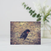 Red Wing Blackbird op Barbed Wire Briefkaart (Staand voorkant)