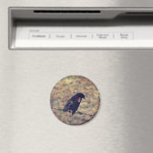 Red Wing Blackbird op Barbed Wire Magneet (Insitu (Vaatwasser))