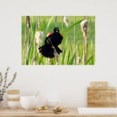 Red Wing Blackbird op Reeds Poster (Keuken)