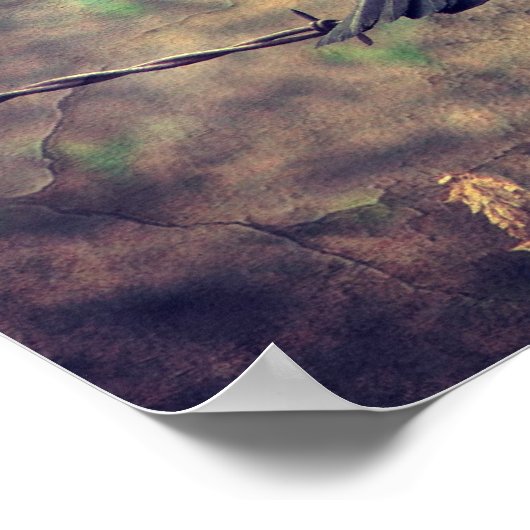 Red Wing Blackbird Poster (Hoek)