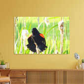 Red Wing Blackbird Song Wrapped Canvas Print (Insitu (Woonkamer))