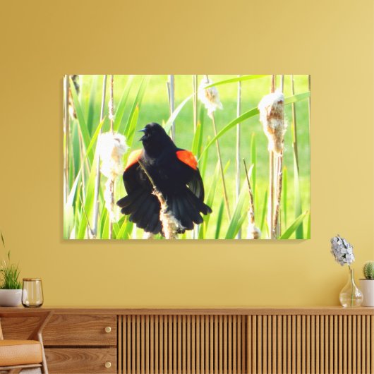 Red Wing Blackbird Song Wrapped Canvas Print (Insitu (Woonkamer))