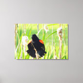 Red Wing Blackbird Song Wrapped Canvas Print (Voorkant)
