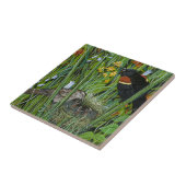 Red Wing Blackbird Tegeltje (Zijkant)