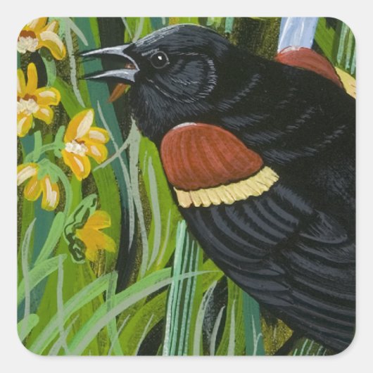 Red Wing Blackbird Vierkante Sticker (Voorkant)