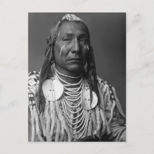Red Wing (Native American Man) Briefkaart (Voorkant)
