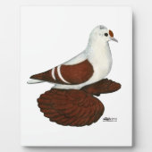 Red Wing Pigeon Fotoplaat (Voorkant)