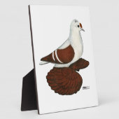 Red Wing Pigeon Fotoplaat (Zijkant)