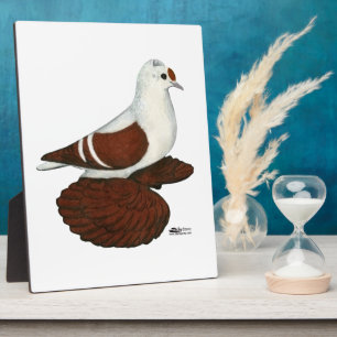 Red Wing Pigeon Fotoplaat
