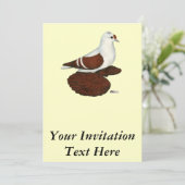 Red Wing Pigeon Kaart (Staand voorkant)