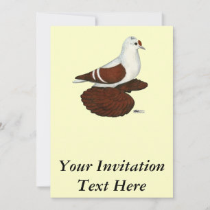 Red Wing Pigeon Kaart