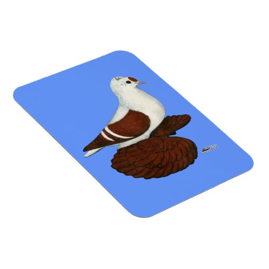 Red Wing Pigeon Magneet (Rechterzijde)