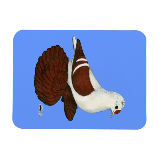 Red Wing Pigeon Magneet (Horizontaal)