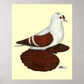 Red Wing Pigeon Poster (Voorkant)