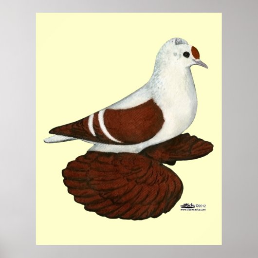 Red Wing Pigeon Poster (Voorkant)