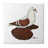 Red Wing Pigeon Tegeltje (Voorkant)