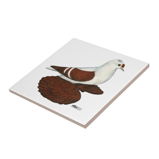 Red Wing Pigeon Tegeltje (Zijkant)