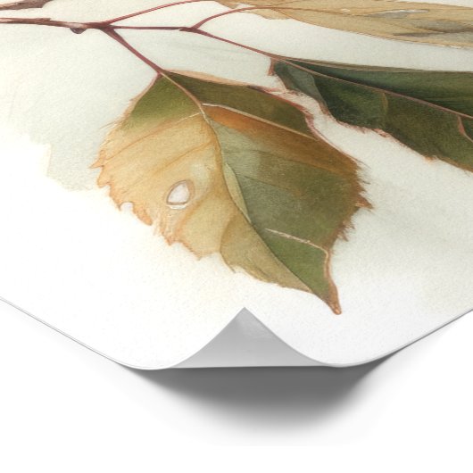 Red Winged Blackbird Art Print Poster (Hoek)