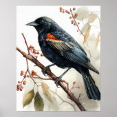 Red Winged Blackbird Art Print Poster (Voorkant)