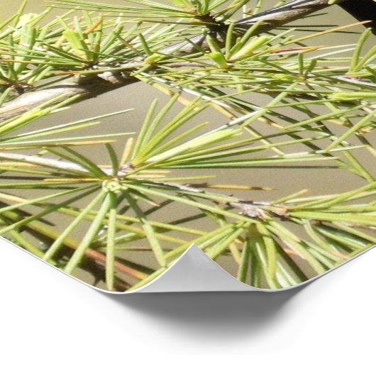 Red Winged Blackbird - Bad Hair day Humor Poster (Hoek)