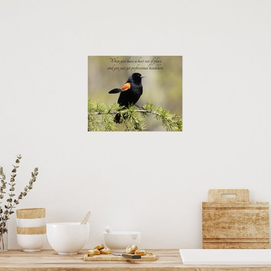 Red Winged Blackbird - Bad Hair day Humor Poster (Keuken)