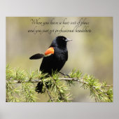 Red Winged Blackbird - Bad Hair day Humor Poster (Voorkant)