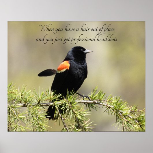 Red Winged Blackbird - Bad Hair day Humor Poster (Voorkant)