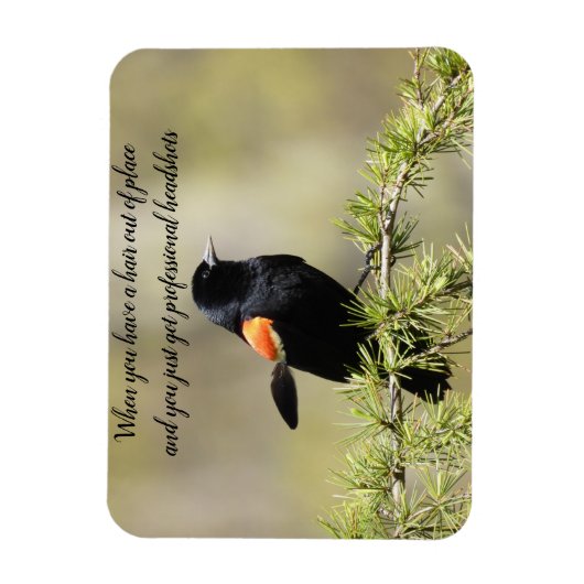Red Winged BlackBird - Bad hair day text Magneet (Verticaal)