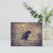 Red Winged Blackbird Briefkaart (Staand voorkant)
